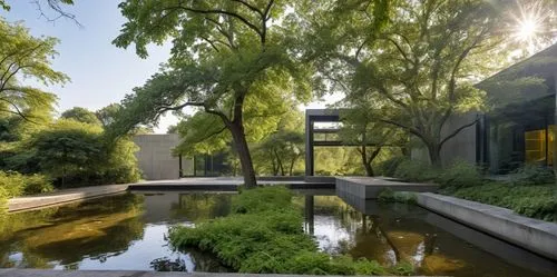 landscape designers sydney,weeping willow,landscape design sydney,green trees with water,zumthor,wuzhen,adjaye,suzhou,spreewald,acequia,mcnay,bendemeer estates,schimanek,landscaped,gulbenkian,amstelveen,tiergarten,waterweg,amanresorts,giverny,Photography,General,Realistic