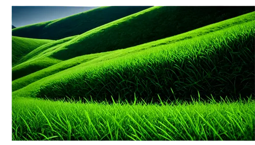 green landscape,green grass,green fields,grassland,tea field,green grain,grasslands,grass,block of grass,green lawn,green meadow,tea plantation,ricefield,patrol,halm of grass,green wallpaper,trembling grass,grass grasses,tea plantations,aaa,Photography,Artistic Photography,Artistic Photography 06