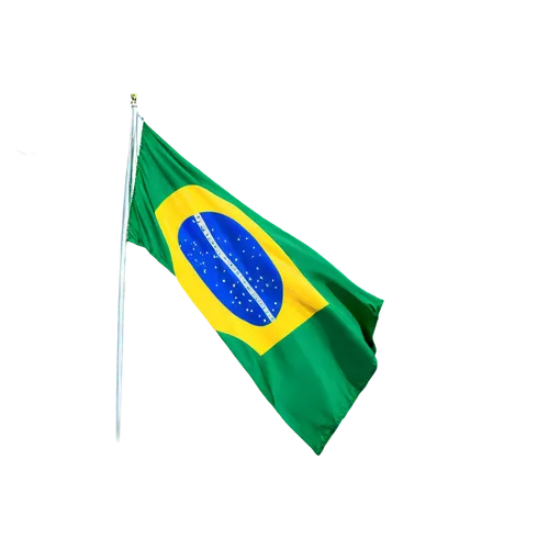 brazil brl,brazil empire,brasil,samba,hd flag,brazilian monarchy,brasileira,brazil,national flag,flag,brazilian,boa,race flag,rio,race track flag,country flag,brazilian real,banderole,brazilianwoman,south-america,Conceptual Art,Daily,Daily 34