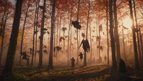 hanging elves,people in nature,happy children playing in the forest,autumn forest,autumn walk,haunted forest,forest of dreams,falling on leaves,migration,cartoon forest,forest workers,flying seeds,halloween silhouettes,foggy forest,the forest,the woods,the trees in the fall,elves flight,dead leaves,the autumn,Photography,General,Cinematic