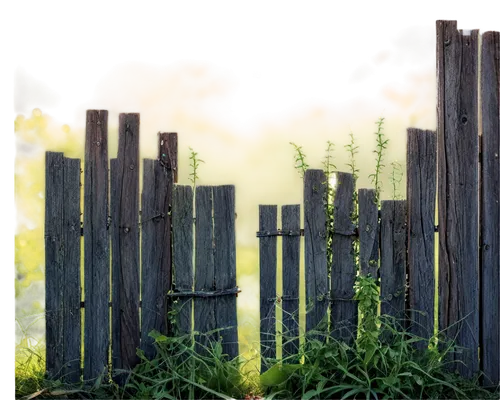 Rustic old farm fence, wooden planks, worn-out surfaces, rusty metal wires, overgrown with weeds, leaning slightly, morning dew, soft sunlight filtering through, 3/4 composition, shallow depth of fiel