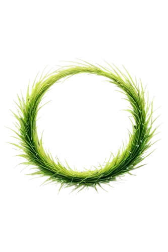 spiralis,green wreath,spiral background,wreath vector,laurel wreath,feather bristle grass,blade of grass,circlet,koru,grass fronds,eelgrass,wheatgrass,fern leaf,circular ring,cycloid,rod of asclepius,omnitrix,cordgrass,luminous garland,time spiral,Illustration,Paper based,Paper Based 13