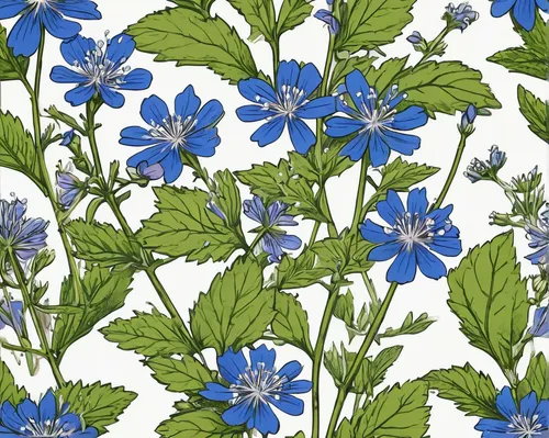 botanical print,borage family,siberian bugloss,illustration of the flowers,plumbago,borage,blue flowers,flower illustration,flowers pattern,flower fabric,forget-me-nots,delphinium,dayflower,flowers png,flowers fabric,floral border paper,floral background,dayflower family,lobelia,nettles are full of flowers,Unique,3D,Isometric