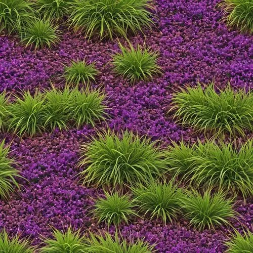 purple fountain grass,wall,purple wallpaper,flowers png,senetti,verbena,lavander,lavandula,defend,zoysia,wavelength,stylidium,floral digital background,groundcovers,ground cover,block of grass,flower carpet,flower background,lavender flowers,purple flowers,Illustration,Abstract Fantasy,Abstract Fantasy 10