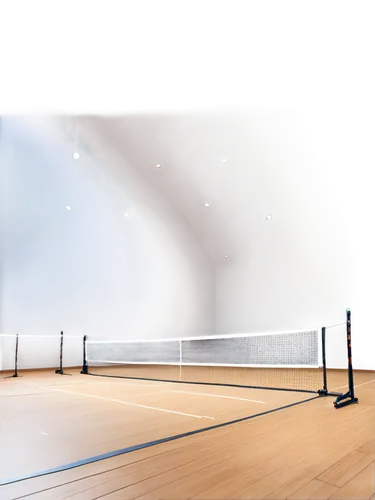 racketball,racquetball,fronton,ittf,table tennis,crosscourt,badminton,tennis court,shuttler,hardcourts,ballcourt,shuttlers,racquet,courts,pingpong,omnisport,ballcourts,sports equipment,volley,tennis,Illustration,Japanese style,Japanese Style 21