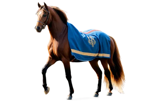 Majestic horse, Arabian breed, shiny brown coat, flowing mane, gold ornamented saddle, embroidered logo on saddle cloth, red and blue striped horse blanket, hooves lifted in trotting motion, morning s