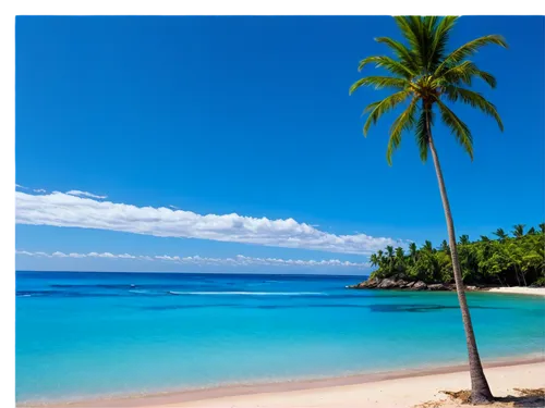 cook islands,samoa,comores,rarotonga,coconut tree,coconut trees,micronesia,antilles,coconut palms,coconut palm tree,tobago,savaii,tropical beach,comoros,french polynesia,lakshadweep,huahine,raiatea,guadeloupe,tropical sea,Illustration,Paper based,Paper Based 14