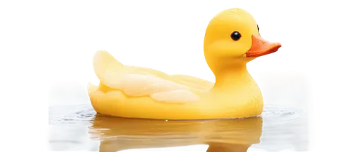 bath duck,rubber duck,rubber duckie,ducky,rockerduck,diduck,lameduck,duck,duck on the water,patito,cayuga duck,rubber ducks,quacking,ornamental duck,red duck,quackwatch,the duck,duckie,canard,quacker,Conceptual Art,Oil color,Oil Color 08