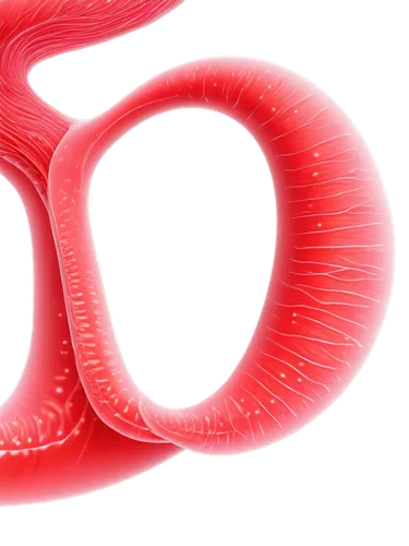 paraventricular,wavelength,roundworms,hypercholesterolemia,epididymis,spiral background,glomerulus,microcirculation,om,sphenoidal,toroidal,arteriole,penannular,thrombus,figure 8,nephropathy,roundworm,ercp,thromboxane,coronary vascular,Art,Artistic Painting,Artistic Painting 21