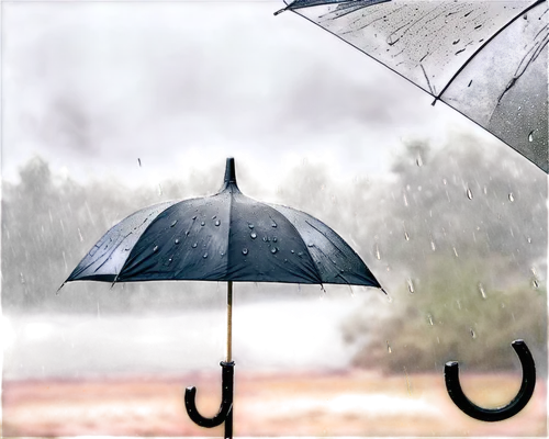 rainfall,rain,brolly,heavy rain,raindops,raining,pluie,raindrop,raindrops,rainswept,ukrainy,rain drops,rainy day,light rain,rains,rained,in the rain,rainfalls,drop of rain,rainstorm,Photography,Documentary Photography,Documentary Photography 04