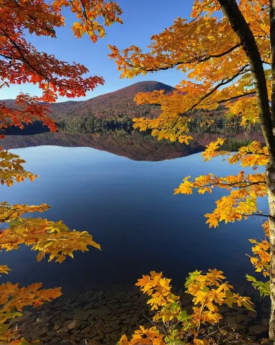 Tips for Seeing Fall Foliage in the Adirondacks,fall landscape,autumn scenery,autumn landscape,fall foliage,autumn in japan,vermont,colors of autumn,autumn background,new england,autumn idyll,high mou