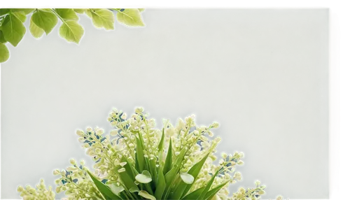 Close-up, macro shot, green screen background, bouquet of flowers, various shapes and sizes, soft petals, delicate details, gentle curls, fresh green leaves, subtle texture, dew drops, warm lighting, 