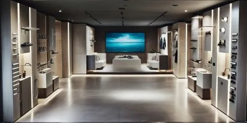 full glass,a view of a large store filled with items,luxury bathroom,walk-in closet,minotti,chambre,fesci,showrooms