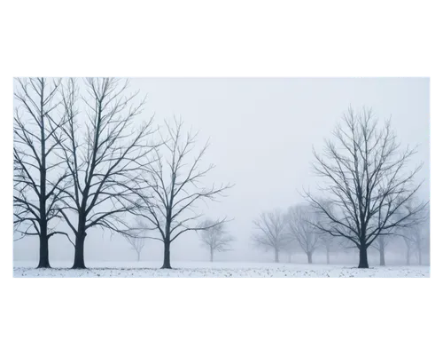 foggy landscape,snow trees,winter background,dense fog,hoarfrost,bare trees,winter landscape,walnut trees,foggy forest,fog banks,winter forest,ash-maple trees,halloween bare trees,beech trees,birch tree background,ground fog,winter tree,snow landscape,veil fog,fog,Illustration,American Style,American Style 15