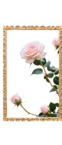 peony frame,rose frame,roses frame,floral silhouette frame,floral and bird frame,frame rose,decorative frame,floral frame,gold foil art deco frame,flower frame,flowers frame,flower frames,botanical frame,valentine frame clip art,frame flora,art deco frame,digital photo frame,watercolor frame,flowers png,wedding frame,Conceptual Art,Daily,Daily 14