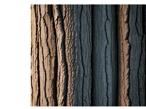 wood texture,wood background,wooden background,tree texture,tree bark,ornamental wood,wood wool,laminated wood,european ash,english walnut,seamless texture,shellbark hickory,eastern black walnut,shortleaf black spruce,western yellow pine,russian olive,wood grain,american larch,californian white oak,knotty pine,Illustration,Realistic Fantasy,Realistic Fantasy 17