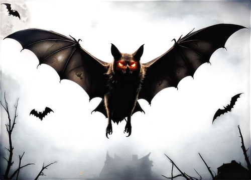 chiroptera,lantern bat,halloween background,halloween frame,megabat,bat,myotis,bats,dutchbat,torbat,halloween banner,foxbat,fruit bat,batagram,batty,mothman,batboy,bat smiley,hanging bat,darigan,Conceptual Art,Fantasy,Fantasy 33