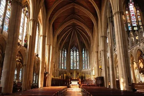 interior view,the interior,presbytery,interior,transept,nave,ulm minster,cologne cathedral,the cathedral,main organ,koln,nidaros cathedral,cathedral,markale,cathedral st gallen,the interior of the,duomo,cologne,metz,collegiate church,Illustration,Children,Children 04