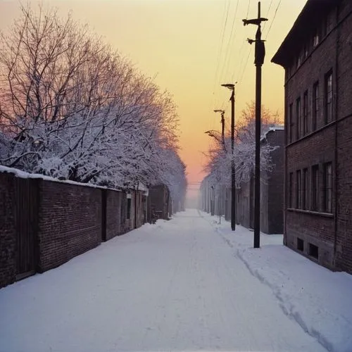 sternfeld,old linden alley,ektachrome,in winter,auschwitz i,crewdson,Photography,Black and white photography,Black and White Photography 03