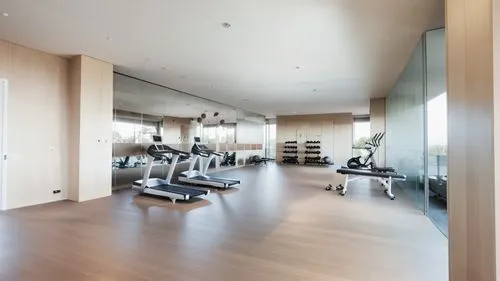 fitness room,fitness center,fitness facility,technogym,leisure facility,precor,Photography,General,Realistic