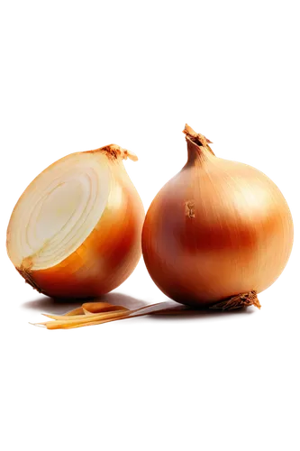 Onion, solo, various sizes, layered skin, vibrant colors, glossy surface, intricate details, shallow depth of field, soft natural light, warm color tone, still life composition, 3/4 view, realistic te