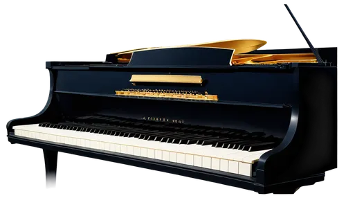 grand piano,steinway,bosendorfer,carpianum,boesendorfer,steinways,fortepiano,pianoforte,bechstein,the piano,disklavier,play piano,pianola,clavinet,piano keyboard,piano,pianura,simpfendorfer,lopiano,keyboard instrument,Illustration,Children,Children 03