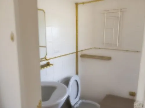 two toilets sitting side by side in a bathroom,disabled toilet,banyo,toilet,examination room,rest room,treatment room,Photography,Documentary Photography,Documentary Photography 09