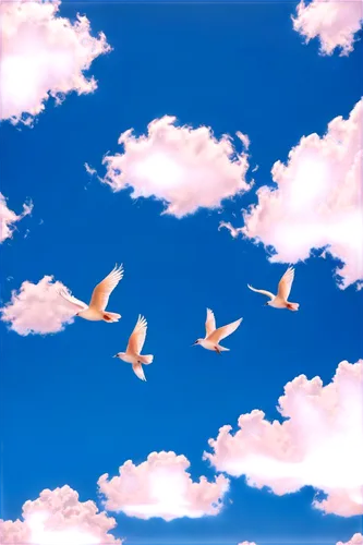 sky,bird in the sky,flying birds,birds flying,flock of birds,birds in flight,doves of peace,clouds - sky,sky clouds,sakura background,blue sky clouds,a flock of pigeons,seagulls flock,summer sky,skyscape,seagulls birds,small birds,flock home,seagulls,bird flight,Illustration,Realistic Fantasy,Realistic Fantasy 20