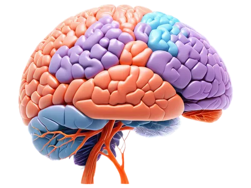 brain icon,neurodegenerative,encephalopathy,neurobiological,cerebrovascular,neurovascular,brainlab,thalamocortical,neurophysiological,amygdala,encephalopathies,neuropsychopharmacology,meningoencephalitis,brain structure,neuralgia,neurorehabilitation,cerebrum,leukoencephalopathy,neurogenesis,neurodegeneration,Conceptual Art,Fantasy,Fantasy 29