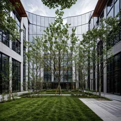 robinia,glass facade,courtyard,biotechnology research institute,ordinary boxwood beech trees,siberian elm,californian white oak,landscape designers sydney,office building,arborist,trees with stitching