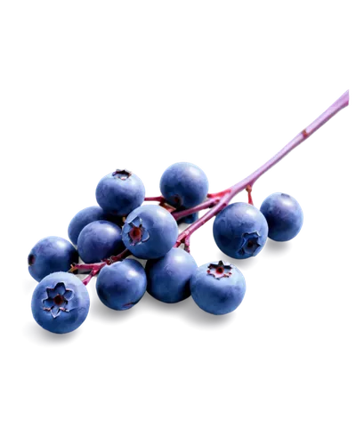 Blueberries, still life, small round fruit, purple-blue color, shiny surface, delicate stem, morning dew, soft natural light, 3/4 composition, shallow depth of field, warm color tone, cinematic lighti