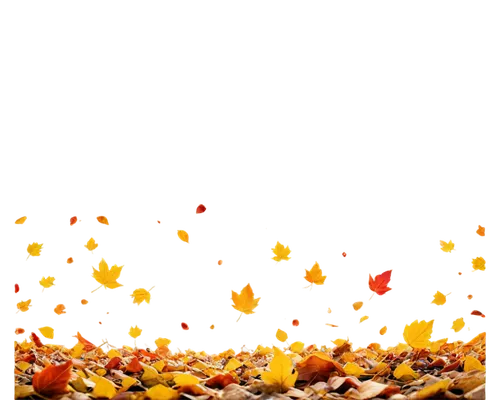 autumn background,diwali background,diwali wallpaper,thanksgiving background,autumn theme,autumn icon,autumn leaves,fire background,autumn frame,autumn decoration,halloween background,sunburst background,light of autumn,garrison,autumns,autumn leaf paper,autumn decor,golden autumn,free background,fall leaves,Art,Classical Oil Painting,Classical Oil Painting 28