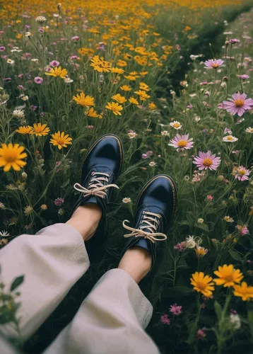 girl lying on the grass,field of flowers,girl in flowers,daisies,falling flowers,flower carpet,garden shoe,blooming field,sea of flowers,retro flowers,scattered flowers,blue daisies,blanket of flowers,australian daisies,picking flowers,flowers field,flower field,flower background,daisy flowers,walk in a park,Illustration,Black and White,Black and White 23