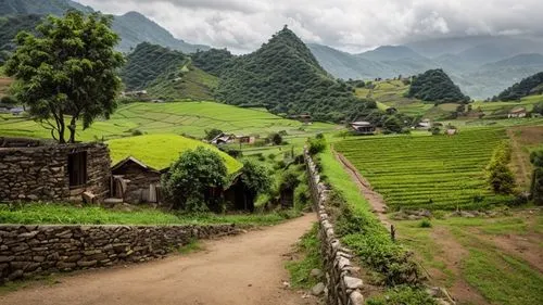 a rural landscape in hills,peru,nepal,ha giang,peru i,sapa,machupicchu,rice terrace,rice terraces,machu,machu picchu,vietnam,marvel of peru,annapurna,mountain village,laos,viñales valley,everest regio