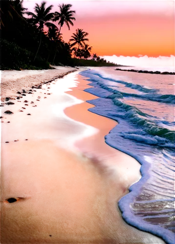 beach landscape,tropical beach,beautiful beaches,brazilian beach,varkala,dream beach,sunrise beach,kovalam,lakshadweep,beautiful beach,beach scenery,sunset beach,tropical sea,goa,caribbean beach,pink beach,paradise beach,sand coast,golden sands,dark beach,Illustration,Retro,Retro 23