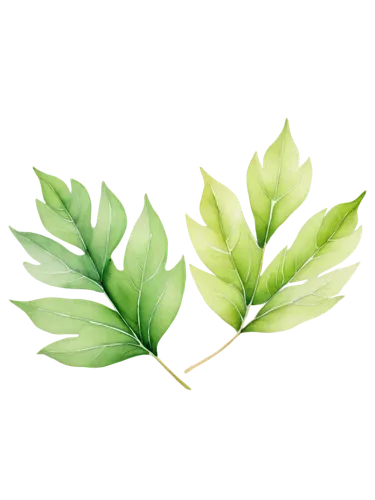 bay leaf,leaf background,spring leaf background,bay-leaf,curry leaves,mape leaf,walnut leaf,custody leaf,gum leaves,leaf fern,tropical leaf,thick-leaf plant,leaves case,leaf icons,fan leaf,loose tea leaves,chestnut leaf,beech leaf,jungle leaf,leaves,Art,Classical Oil Painting,Classical Oil Painting 41