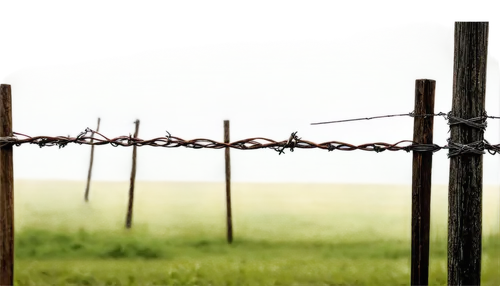 pasture fence,barbed wire,ribbon barbed wire,prison fence,electric fence,wire fence,unfenced,barbwire,barb wire,fences,fence,chain-link fencing,chain fence,fence posts,wire fencing,fence element,barbed,split-rail fence,picket fence,wall,Photography,Documentary Photography,Documentary Photography 28