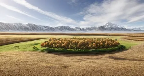 golf landscape,golf course background,meadow fescue,grasslands,field of cereals,meadow landscape,salt meadow landscape,landscape background,nature landscape,grassland,alpine landscape,prairies,dune landscape,golf course grass,landscape nature,turfgrass,panoramic golf,nature of mongolia,green landscape,virtual landscape,Material,Material,North American Oak