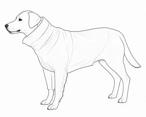 dog line art,dog drawing,dog illustration,boerboel,dubernard,black mouth cur,canidae,coonhound,kangal,oberweiler,dog breed,labrador,labrador retriever,line art animal,lurcher,catahoula,staffordshire bull terrier,saluki,galga,quadruped,Design Sketch,Design Sketch,Detailed Outline