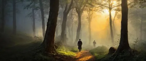 two people riding bicycles through a foggy forest,forest path,the mystical path,forest walk,hossein,hosseinpour,forest landscape