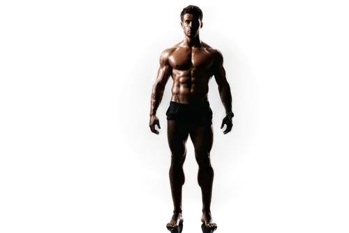 polykleitos,standing man,body building,clenbuterol,human body,vitruvian man,muscularity,the human body,biomechanically,the vitruvian man,dolarhyde,anthropometry,musculature,anthropometric,trenbolone,obliques,contrapposto,slenderness,3d man,muscular system,Illustration,Black and White,Black and White 31