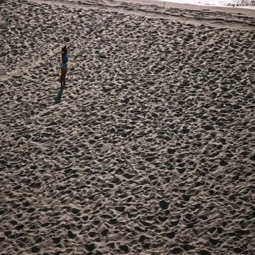 aerial view of beach,man at the sea,gormley,girl on the dune,dhanushkodi,people fishing,ploughed,toddler walking by the water,playa francesca,monopod fisherman,deadvlei,walk on the beach,dark beach,low tide,salt field,tracks in the sand,jingzaijiao tile pan salt field,dunas,beach toy,sentinelese,Photography,Documentary Photography,Documentary Photography 28