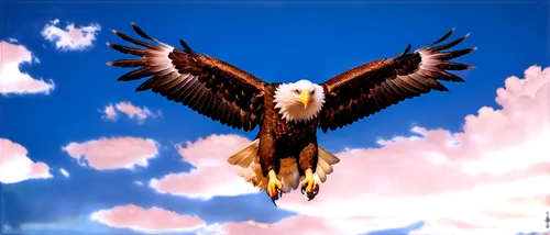 eagle,steppe eagle,sea eagle,eagle vector,african fishing eagle,eagle illustration,bald eagle,fish eagle,giant sea eagle,sea head eagle,soar,mongolian eagle,african eagle,white tailed eagle,red kite,red tailed kite,of prey eagle,black kite,eagle eastern,eagle drawing,Photography,Artistic Photography,Artistic Photography 04