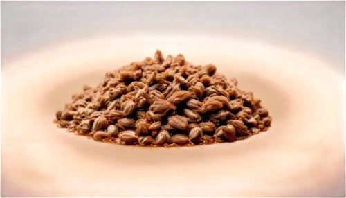 coffee powder,roasted coffee beans,pelleted,cocoa powder,allspice,coffee beans,rudraksha,flaxseed,java beans,coffee background,cubeb,coffee seeds,beanballs,robusta,pellets,granular,flax seed,ground coffee,brigadeiros,roasted coffee,Photography,Artistic Photography,Artistic Photography 04