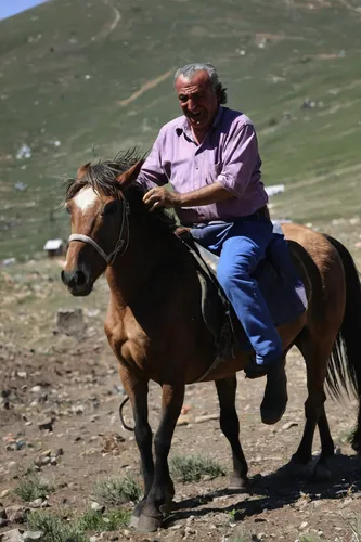 Ali Kemer, a 50-year-old horse-breeder, herds horses in the village of Hormetci, on the foothill of Mount Erciyes, in the central Anatolian province of Kayseri, Turkey on Aug. 5, 2018. (AP Photo/Emrah