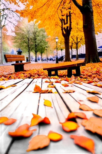 park bench,wooden bench,autumn background,autumn frame,autumn in the park,autumn park,fallen leaves,picnic table,round autumn frame,benches,bench,autumn leaves,just autumn,autumn scenery,late autumn,yellow leaves,wooden table,autumn season,autumn,red bench,Conceptual Art,Fantasy,Fantasy 26