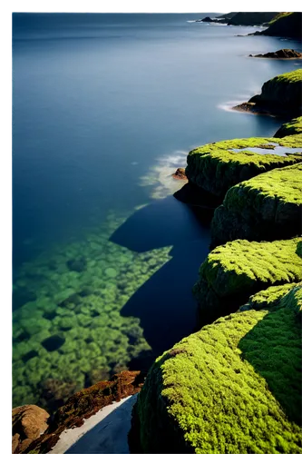 Wavy sea rocks, oceanic surroundings, rugged texture, moss-covered surface, weathered edges, calm seawater, subtle waves, morning sunlight, soft focus, 3/4 composition, shallow depth of field, natural