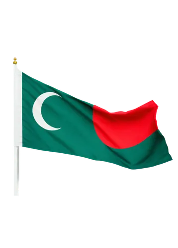 maldives mvr,bangladeshi taka,omani,uae flag,national flag,maldivian rufiyaa,bangladesh,national day,united arab emirates flag,pakistan,flag of uae,oman,bulgaria flag,uae,greed,aceh,brunei,bangladesh bdt,malaysia,malayan,Illustration,Japanese style,Japanese Style 11