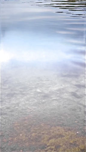 Reflected pictures, rippled water surface, soft focus, dreamy atmosphere, warm lighting, 3/4 composition, shallow depth of field, serene mood, gentle waves, subtle texture, transparent background.,wat