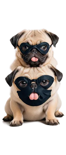 pug,french bulldogs,halloween masks,comedy tragedy masks,pekingese,speak no evil,three dogs,hear no evil,gundogmus,masks,balaclava,canines,doggies,doo,face protection,two dogs,bongo,png transparent,puggle,raging dogs,Illustration,Black and White,Black and White 25